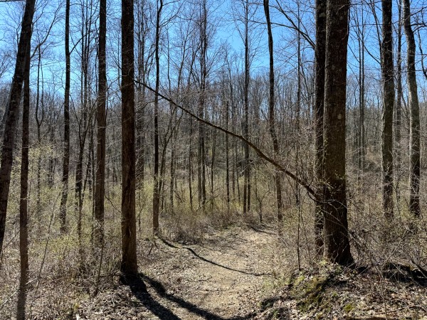 Lot 6 - The Woods at Turkey Run With Creek property photo