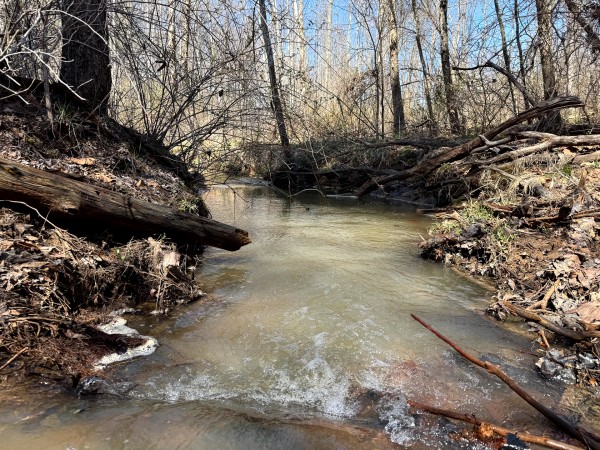 Lot 6 - The Woods at Turkey Run With Creek property photo