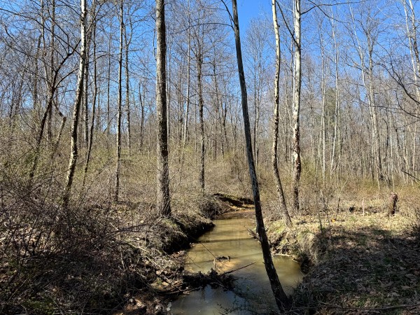 Lot 6 - The Woods at Turkey Run With Creek property photo