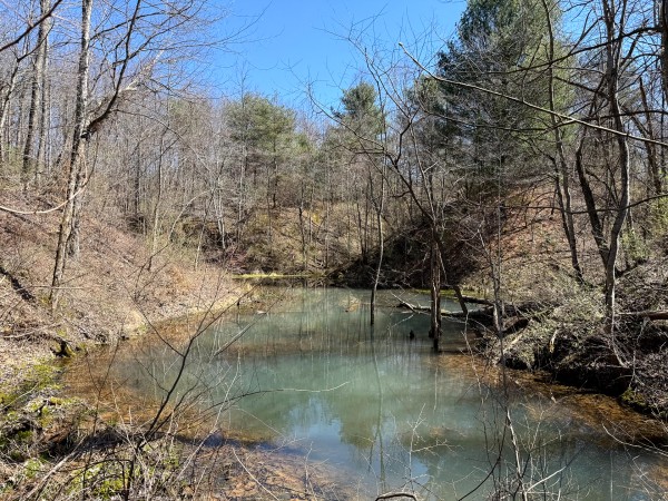 Lot 6 - The Woods at Turkey Run With Creek property photo