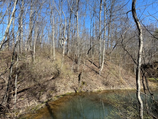 Lot 6 - The Woods at Turkey Run With Creek property photo