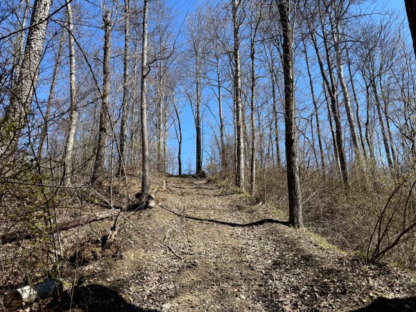 Lot 6 - The Woods at Turkey Run With Creek property photo