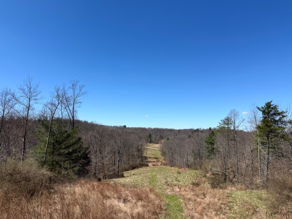Lot 6 - The Woods at Turkey Run With Creek property photo