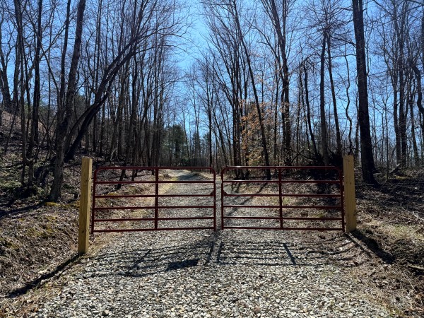 More of Lot 6 - The Woods at Turkey Run With Creek