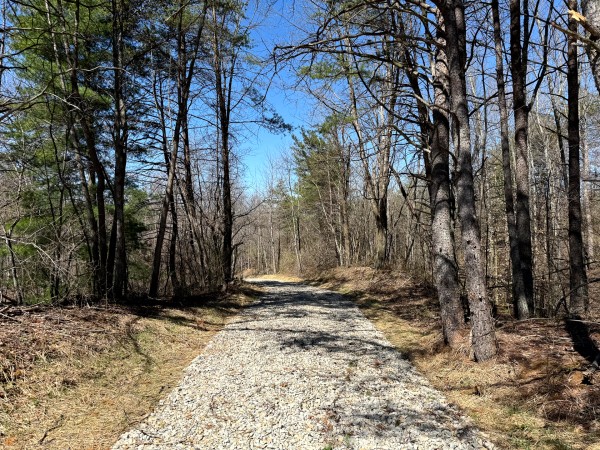 Lot 6 - The Woods at Turkey Run With Creek property photo