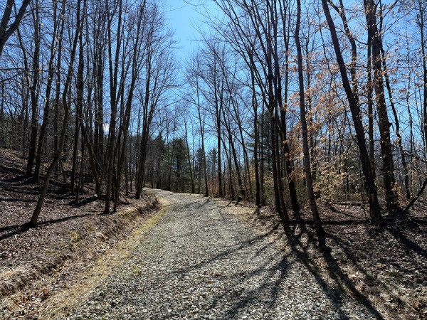 More of Lot 6 - The Woods at Turkey Run With Creek