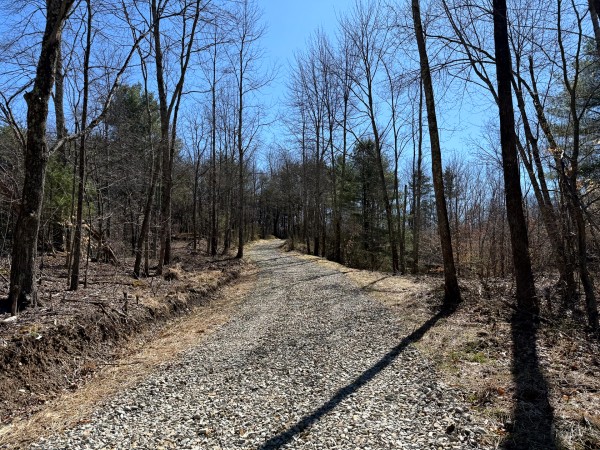 More of Lot 6 - The Woods at Turkey Run With Creek