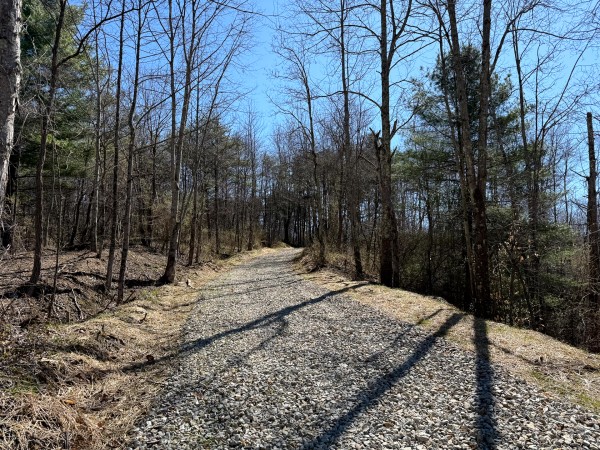 More of Lot 6 - The Woods at Turkey Run With Creek