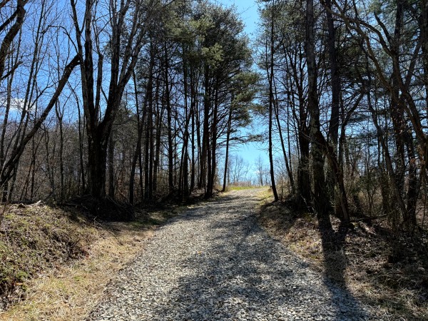 Lot 6 - The Woods at Turkey Run With Creek property photo