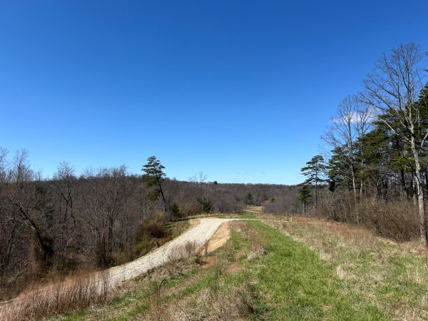 Lot 6 - The Woods at Turkey Run With Creek property photo
