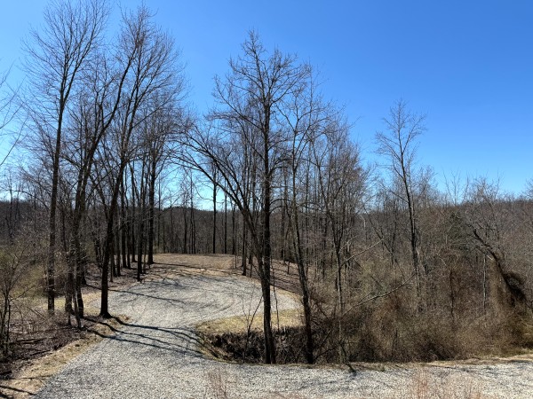 Lot 6 - The Woods at Turkey Run With Creek property photo