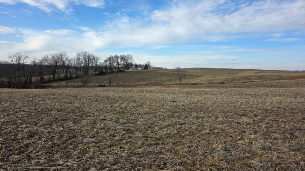 More of Lot 15 at Sheridan Estates