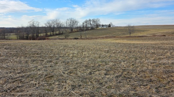 More of Lot 15 at Sheridan Estates