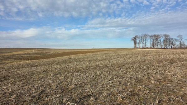 More of Lot 13 at Sheridan Estates