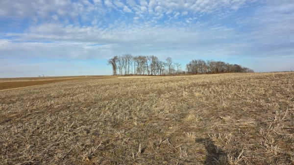 More of Lot 13 at Sheridan Estates