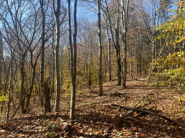 The Ponds at Poplar Ridge – Tract 3 property photo