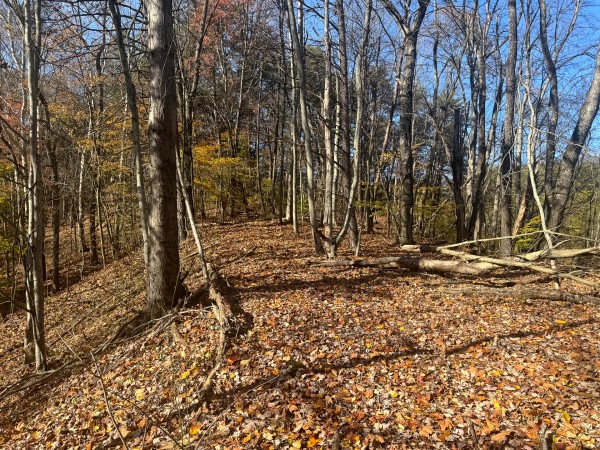 The Ponds at Poplar Ridge – Tract 3 property photo