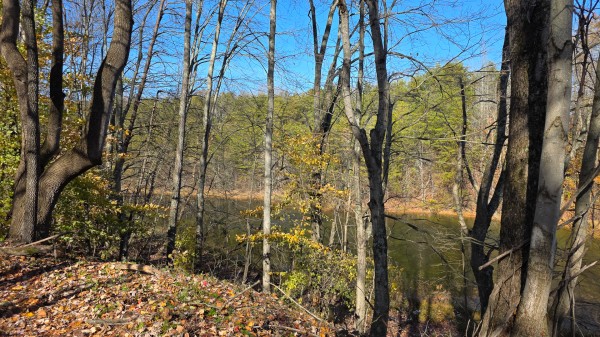 The Ponds at Poplar Ridge – Tract 3 property photo