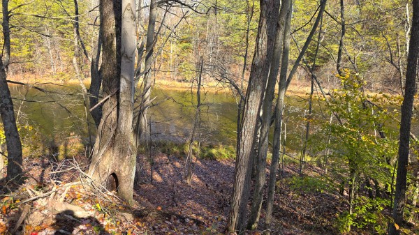 The Ponds at Poplar Ridge – Tract 3 property photo