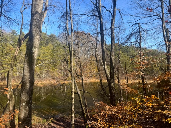 The Ponds at Poplar Ridge – Tract 3 property photo