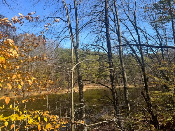 The Ponds at Poplar Ridge – Tract 3 property photo