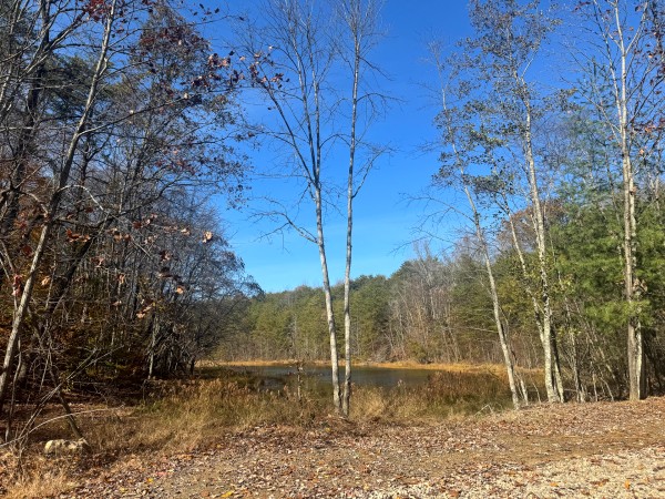The Ponds at Poplar Ridge – Tract 3 property photo