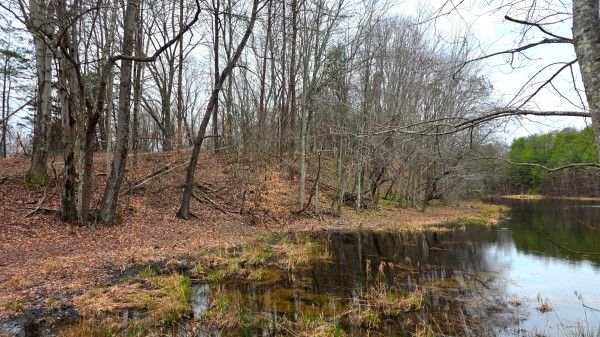 The Ponds at Poplar Ridge – Tract 3 property photo