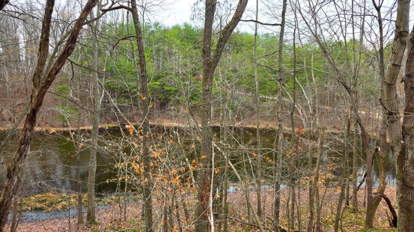 The Ponds at Poplar Ridge – Tract 3 property photo