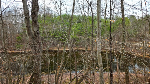 More of The Ponds at Poplar Ridge – Tract 3