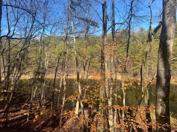 More of The Ponds at Poplar Ridge – Tract 3