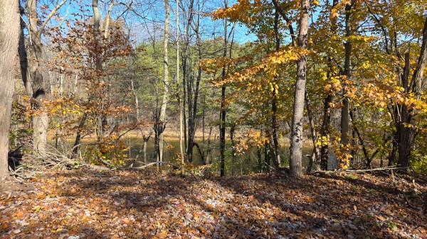 More of The Ponds at Poplar Ridge – Tract 3