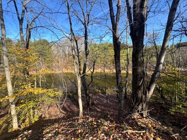 More of The Ponds at Poplar Ridge – Tract 3