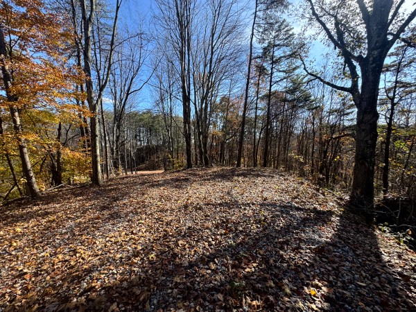 The Ponds at Poplar Ridge – Tract 3 property photo