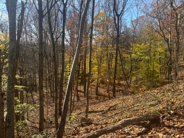 The Ponds at Poplar Ridge – Tract 3 property photo