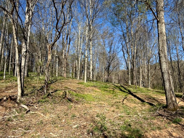 Tract 9 - The Woods at Little Kyger property photo