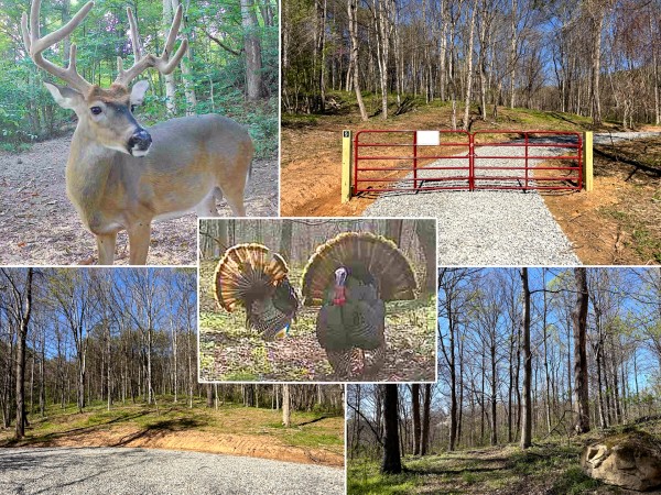 Tract 9 - The Woods at Little Kyger - Gallia County, Ohio - 6.8 acres