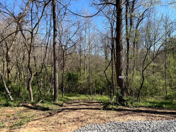 Tract 9 - The Woods at Little Kyger property photo