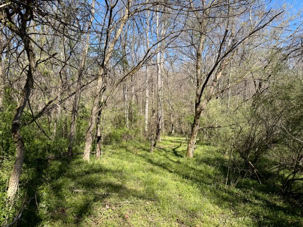Tract 9 - The Woods at Little Kyger property photo