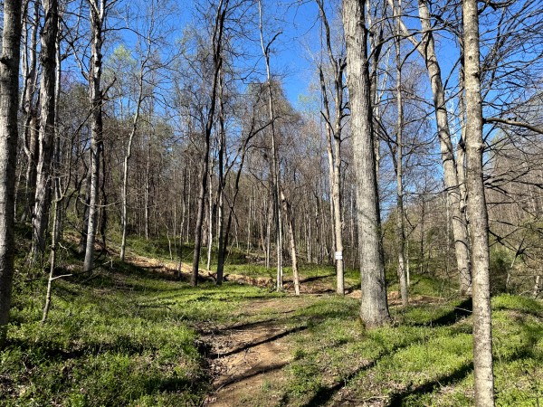 Tract 9 - The Woods at Little Kyger property photo