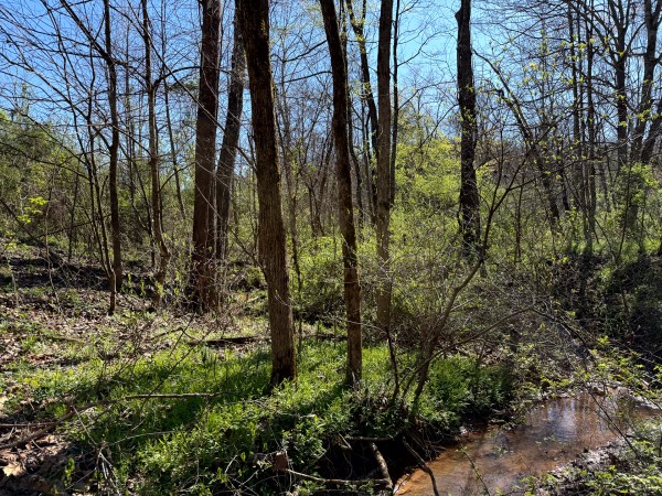 Tract 9 - The Woods at Little Kyger property photo