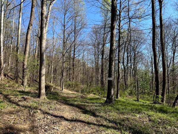 Tract 9 - The Woods at Little Kyger property photo