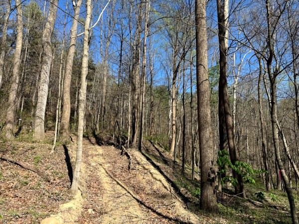Tract 9 - The Woods at Little Kyger property photo
