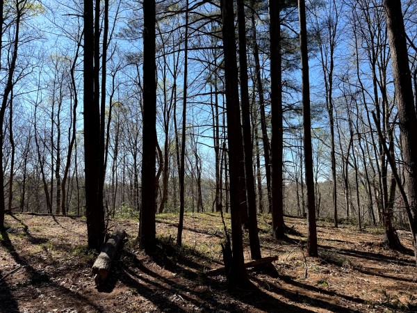 Tract 9 - The Woods at Little Kyger property photo