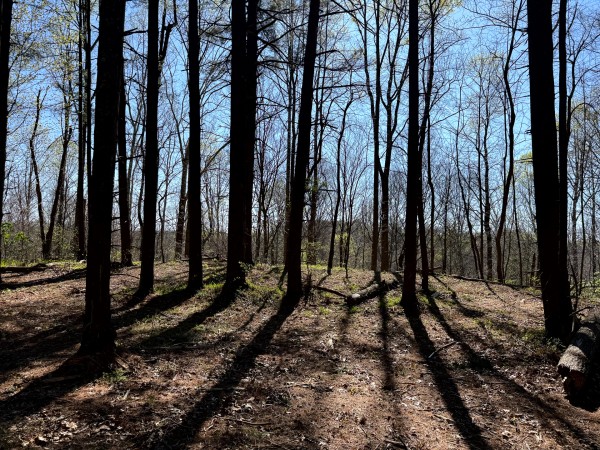 Tract 9 - The Woods at Little Kyger property photo