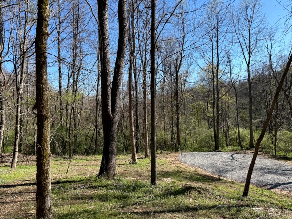 More of Tract 9 - The Woods at Little Kyger