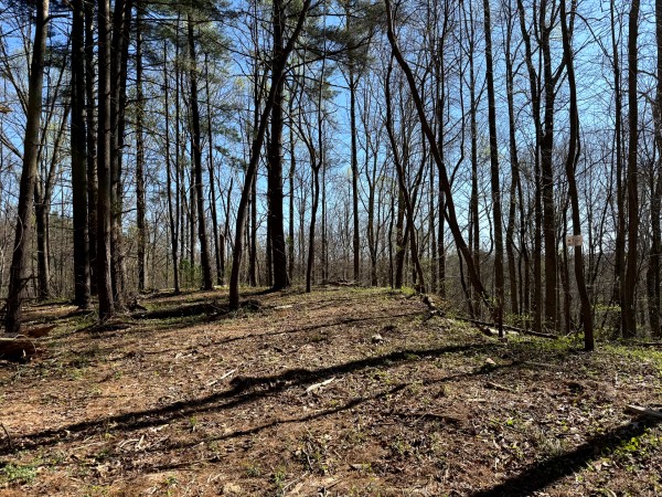 Tract 9 - The Woods at Little Kyger property photo