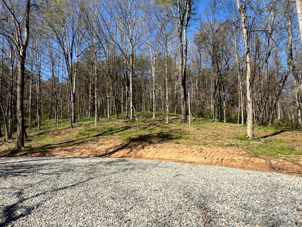 More of Tract 9 - The Woods at Little Kyger