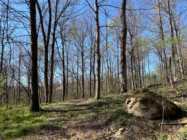More of Tract 9 - The Woods at Little Kyger
