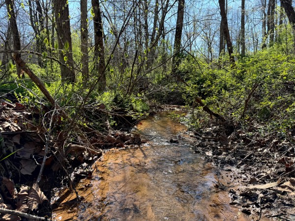 More of Tract 9 - The Woods at Little Kyger
