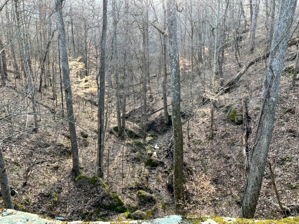 Rock Bridge at Millstone Caves (Tract 3) property photo